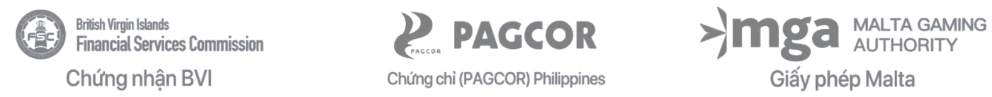 Tác Giả SX88 - Người Đứng Sau Thành Công Của Website - Sacupo