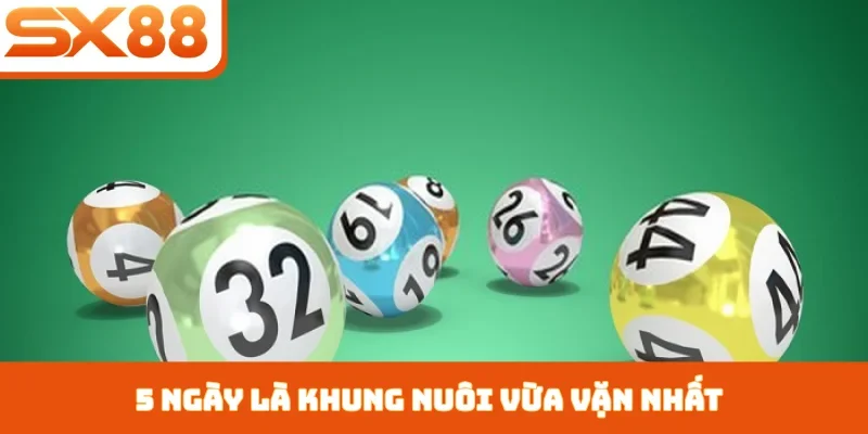 Nuôi Khung Bạch Thủ Lô - Bí Kíp Chọn Số Từ Cao Thủ SX88 - Sacupo