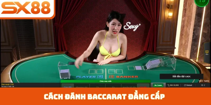 Cách Đánh Baccarat SX88 - Chinh Phục Trò Chơi Quý Tộc - Sacupo