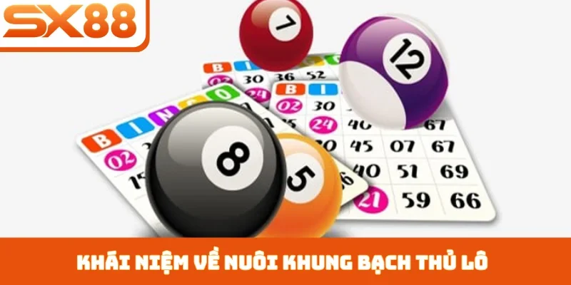 Nuôi Khung Bạch Thủ Lô - Bí Kíp Chọn Số Từ Cao Thủ SX88 - Sacupo