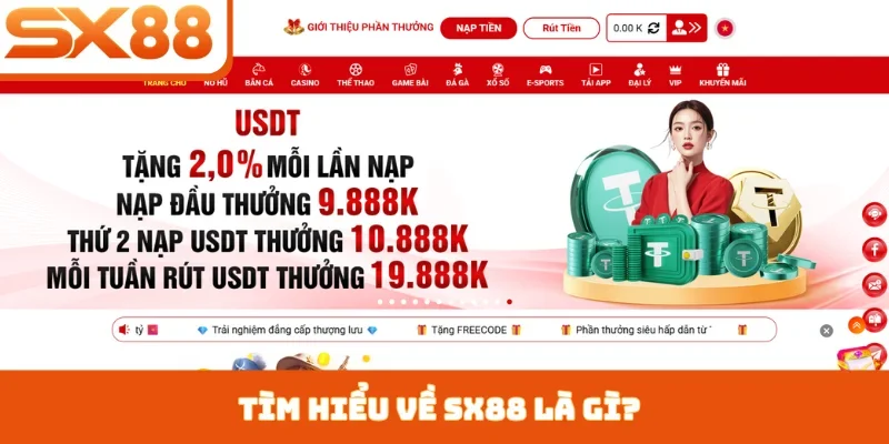SX88 Là Gì - Khám Phá Nền Tảng Giải Trí Online Uy Tín - Sacupo