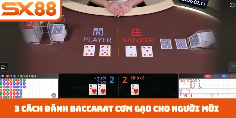 Cách Đánh Baccarat Cơm Gạo - 3 Bí Quyết Kiếm Tiền Tại SX88 - Sacupo