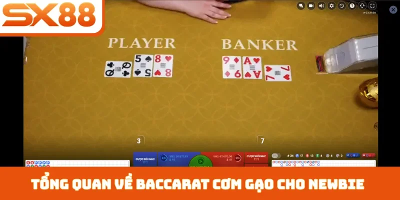 Cách Đánh Baccarat Cơm Gạo - 3 Bí Quyết Kiếm Tiền Tại SX88 - Sacupo