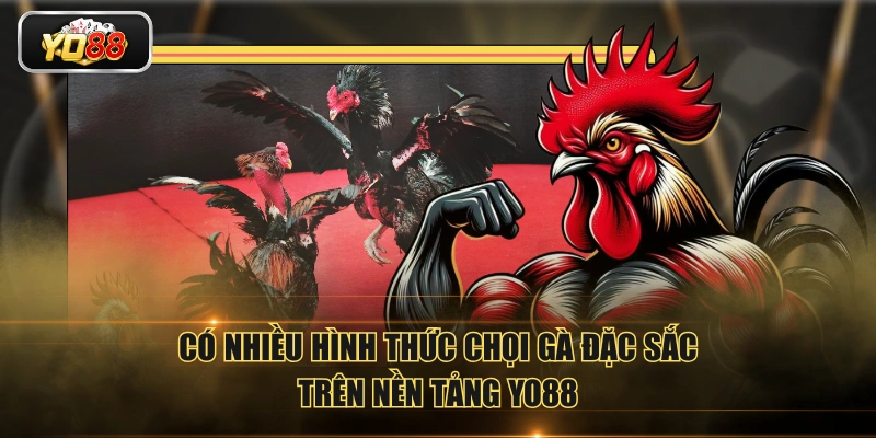Đá Gà YO88 Phát Sóng Trực Tiếp Đá Gà Với Chất Lượng 4K - Sacupo