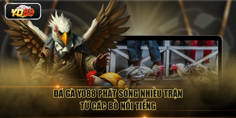 Đá Gà YO88 Phát Sóng Trực Tiếp Đá Gà Với Chất Lượng 4K - Sacupo